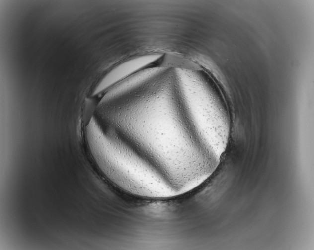 X0000088430441200706121453