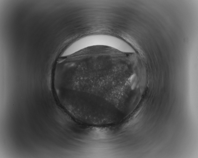 X0000088430442200706121453