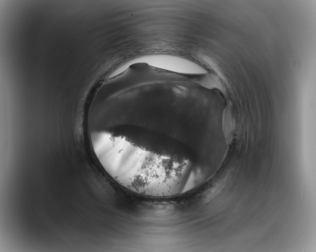 X0000088430443200706121453