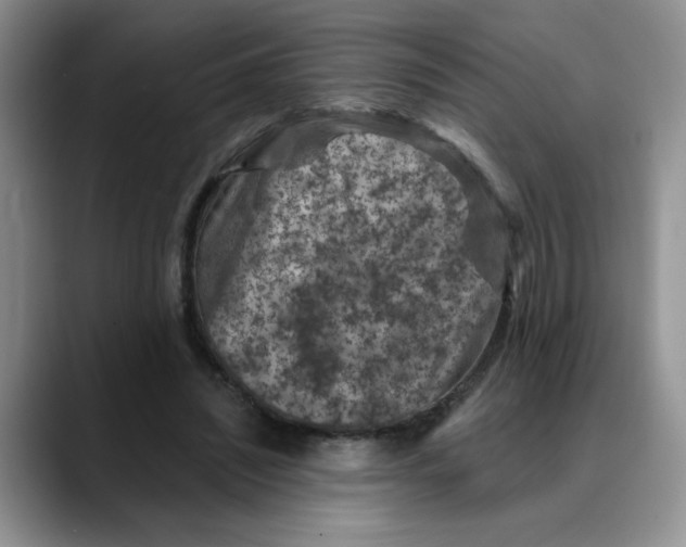 X0000088430444200706121453