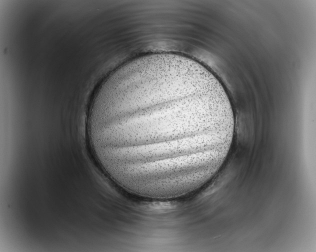 X0000088430445200706121453