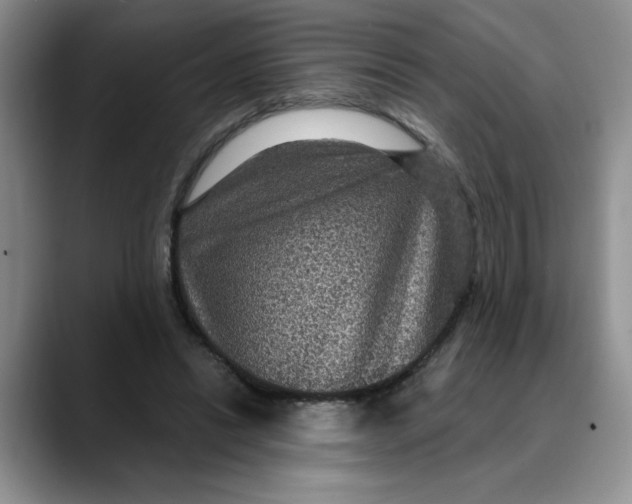 X0000088430446200706121453