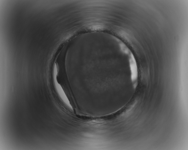 X0000088430447200706121453