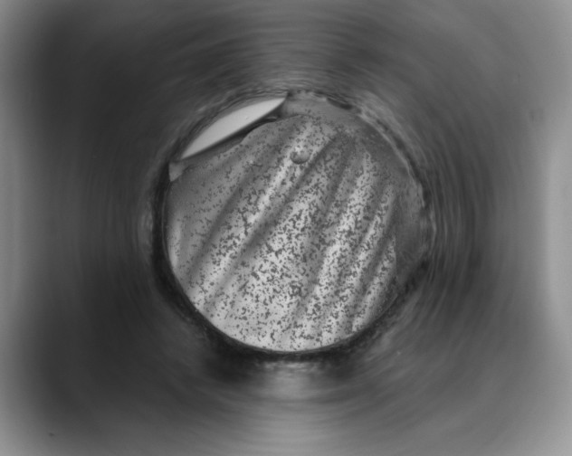 X0000088430448200706121454