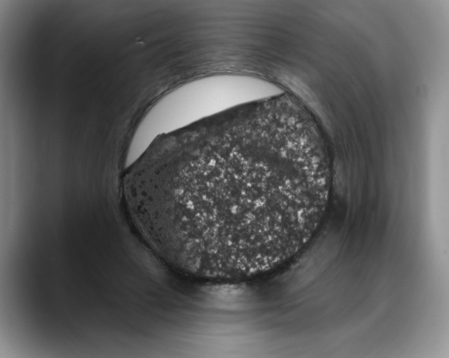 X0000088430449200706121454