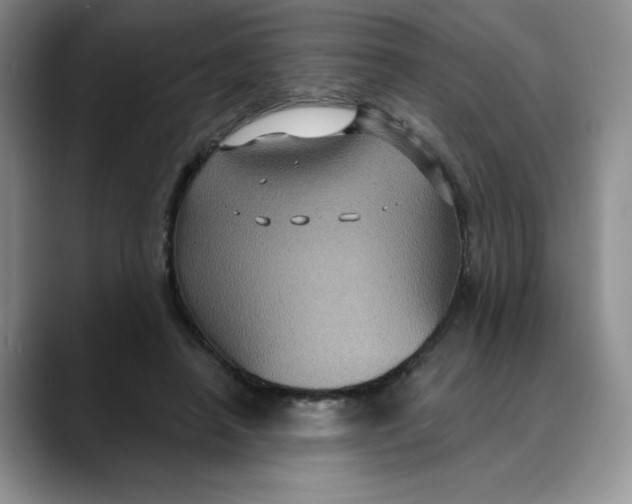 X0000088430450200706121454