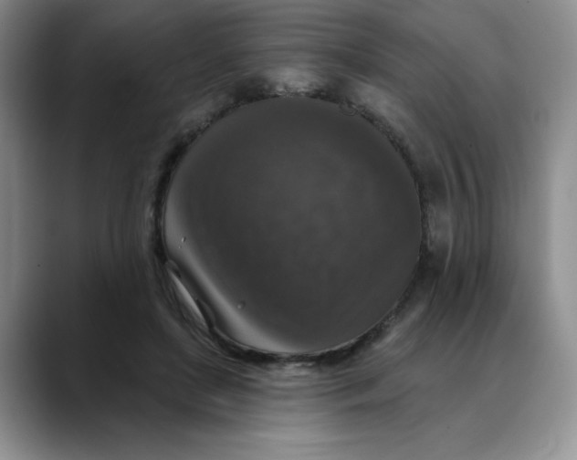 X0000088430451200706121454