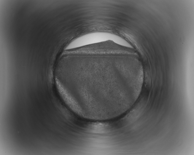 X0000088430453200706121454