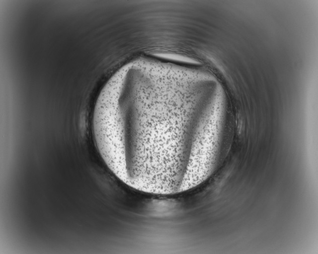 X0000088430455200706121454