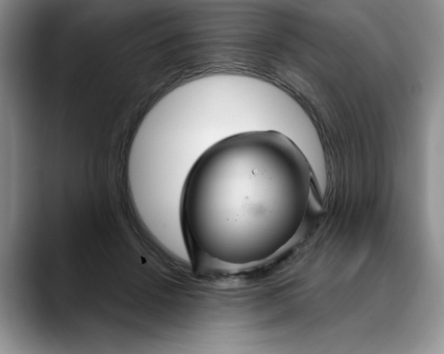 X0000088430456200706121454