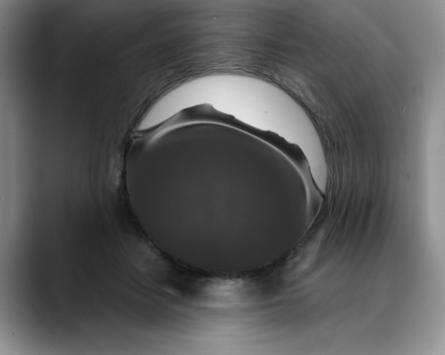 X0000088430458200706121454