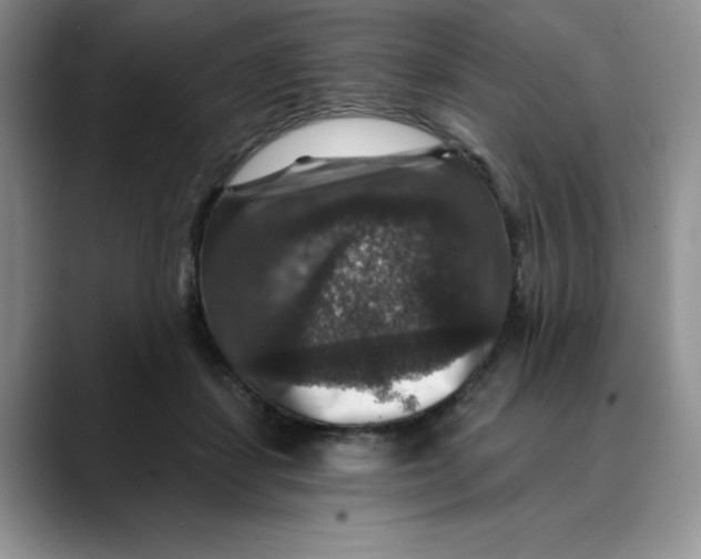 X0000088430459200706121454