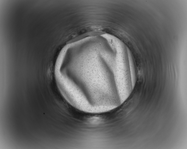 X0000088430460200706121454