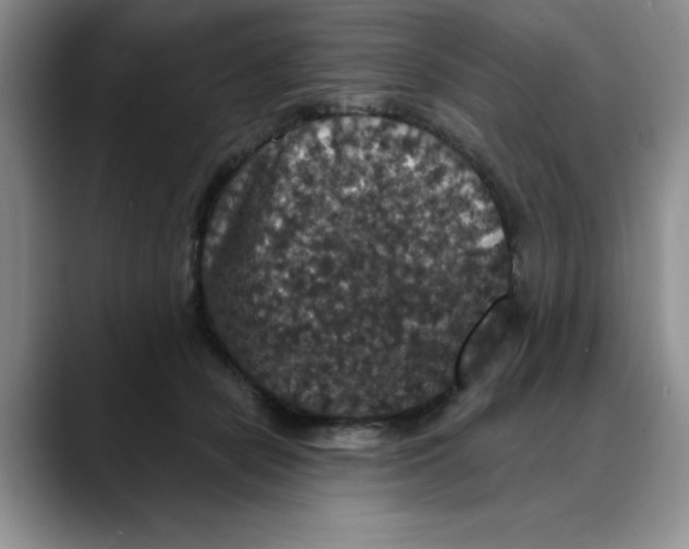 X0000088430462200706121454