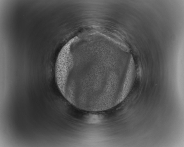 X0000088430464200706121454