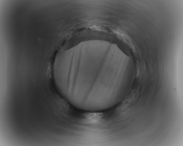 X0000088430465200706121454