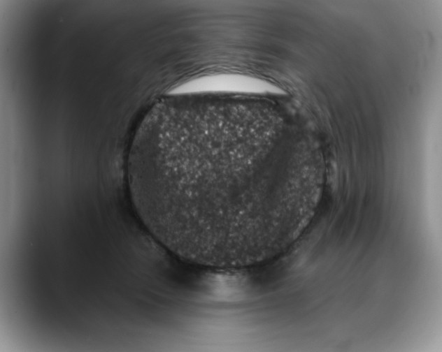 X0000088430466200706121454