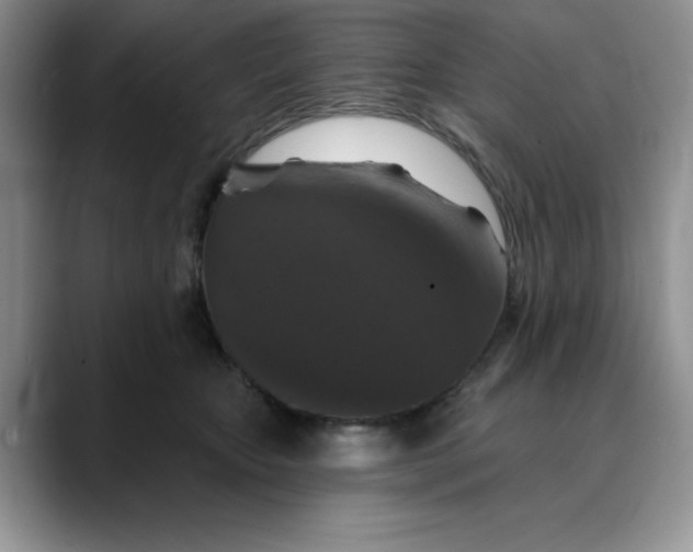 X0000088430467200706121454