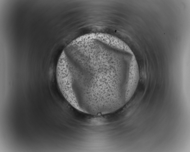 X0000088430468200706121454