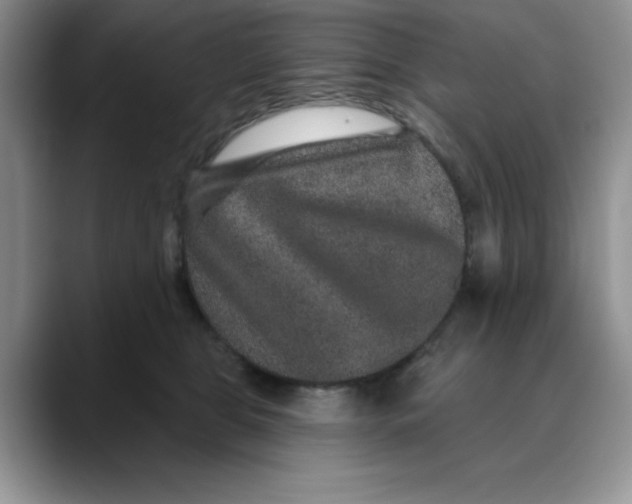 X0000088430469200706121454