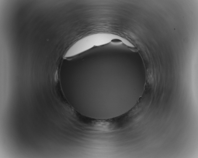 X0000088430471200706121454