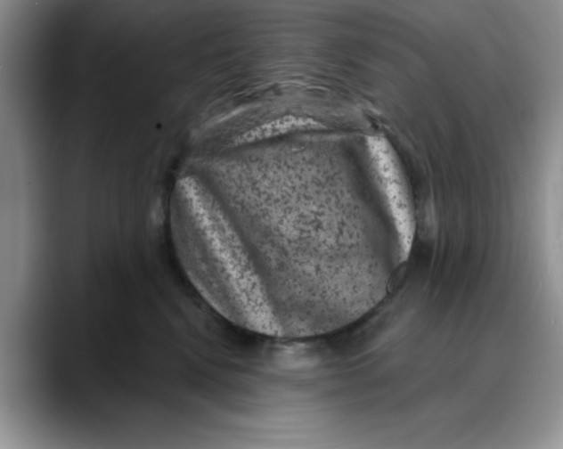 X0000088430472200706121454