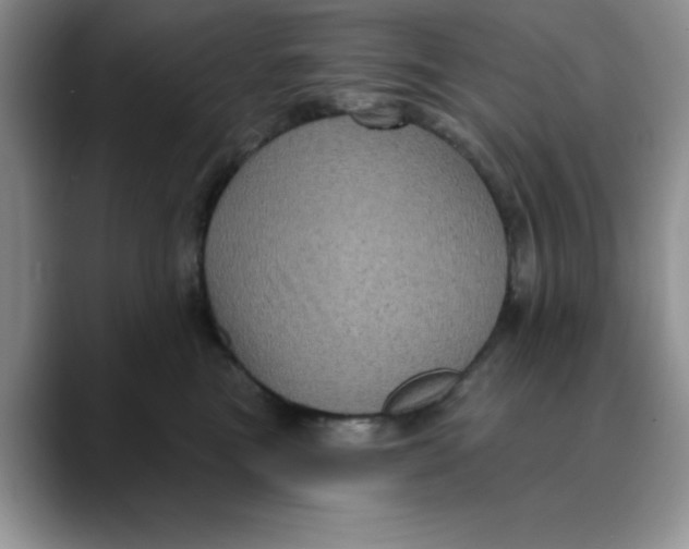 X0000088430473200706121454