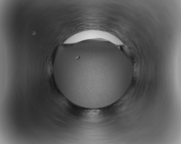 X0000088430474200706121454