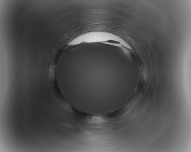 X0000088430475200706121454