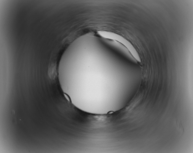 X0000088430478200706121454