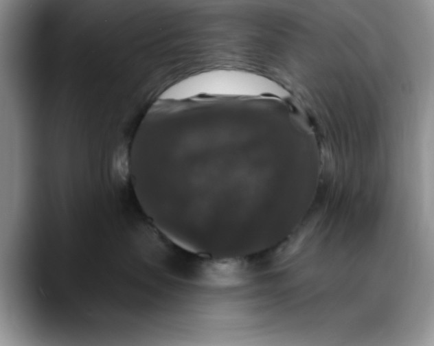 X0000088430479200706121454