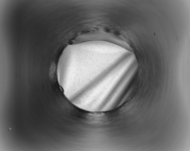 X0000088430480200706121454