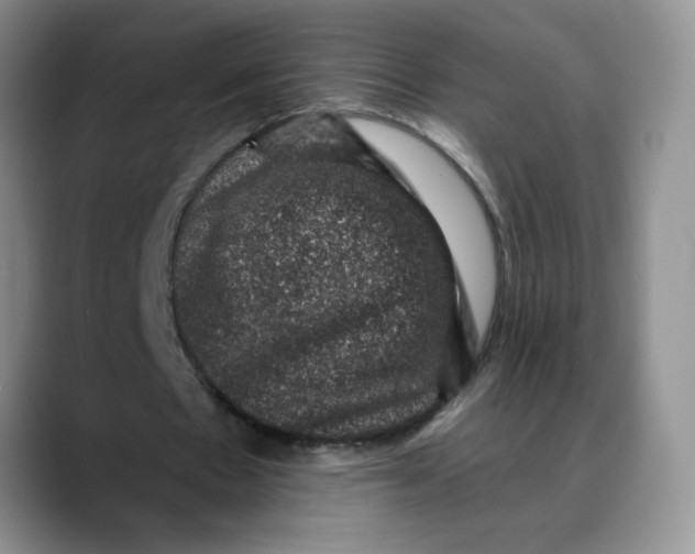 X0000088430481200706121453