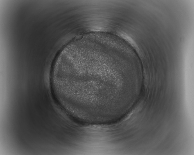 X0000088430482200706121453