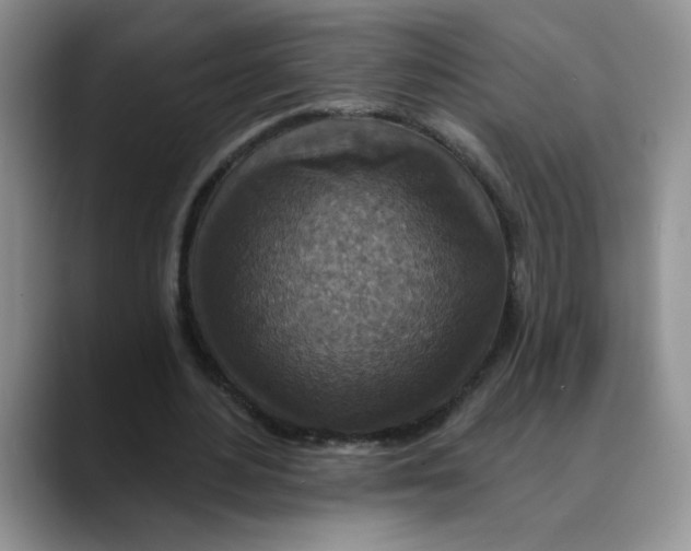 X0000088430484200706121453