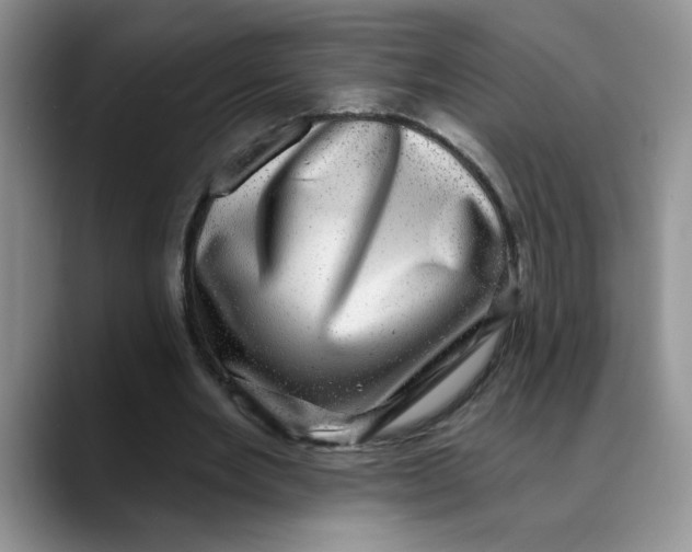 X0000088430485200706121453