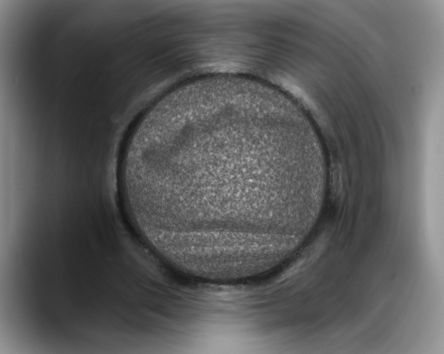 X0000088430486200706121453