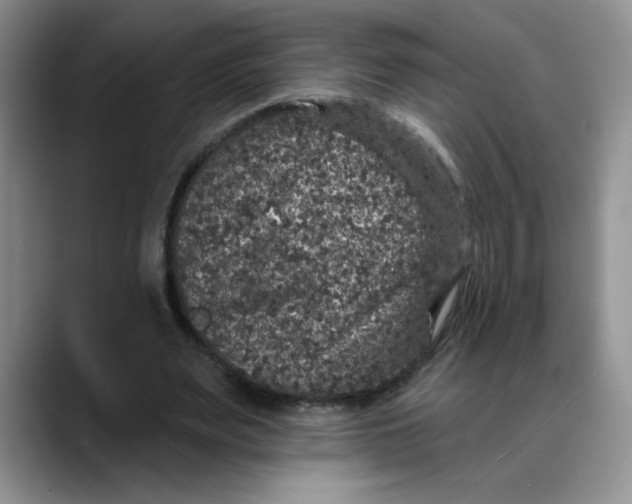 X0000088430487200706121453