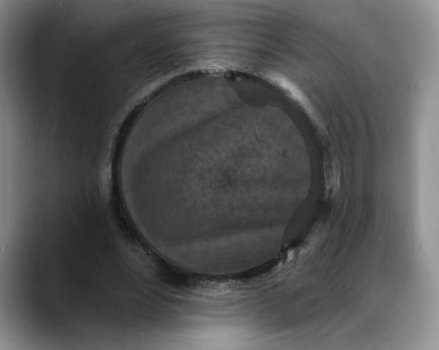 X0000088430488200706121453