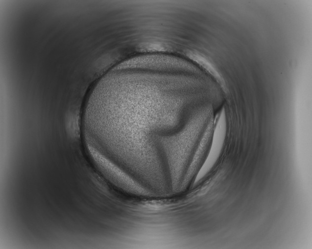 X0000088430489200706121453