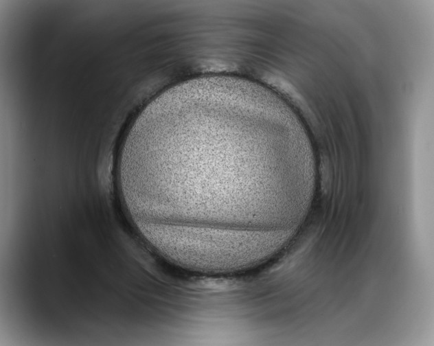 X0000088430490200706121453