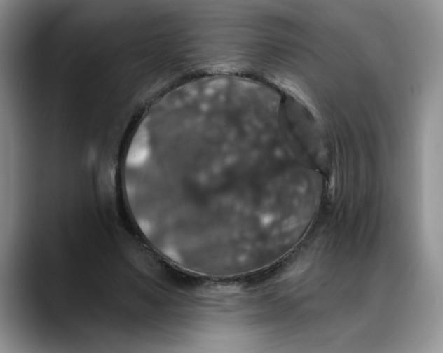 X0000088430491200706121453