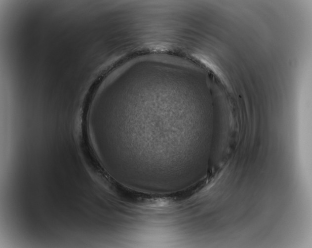 X0000088430492200706121453