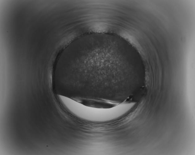 X0000088430493200706121453