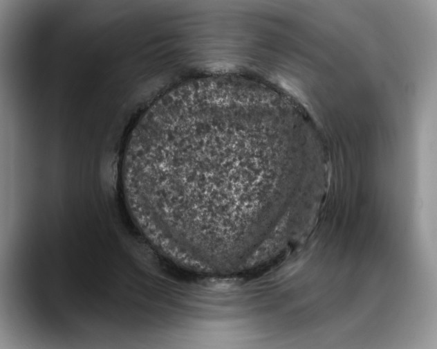 X0000088430495200706121453