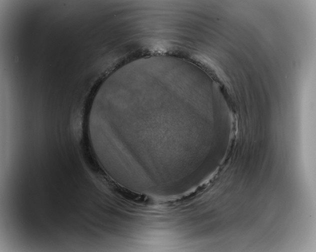 X0000088430496200706121453