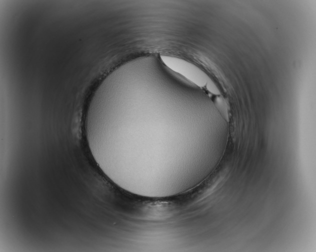 X0000088430497200706121453