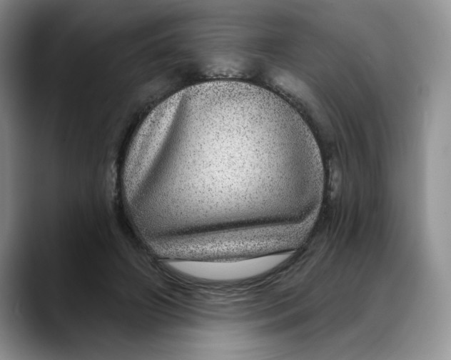 X0000088430498200706121453