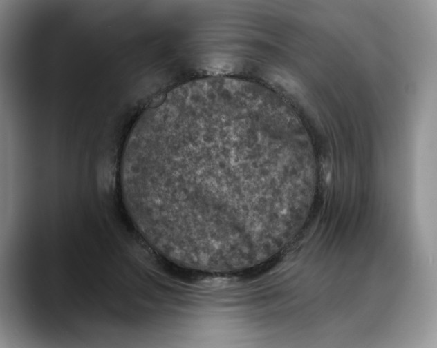 X0000088430499200706121453