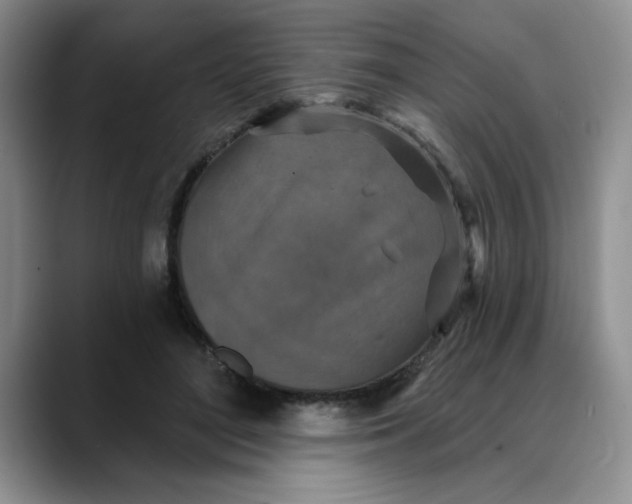 X0000088430500200706121453